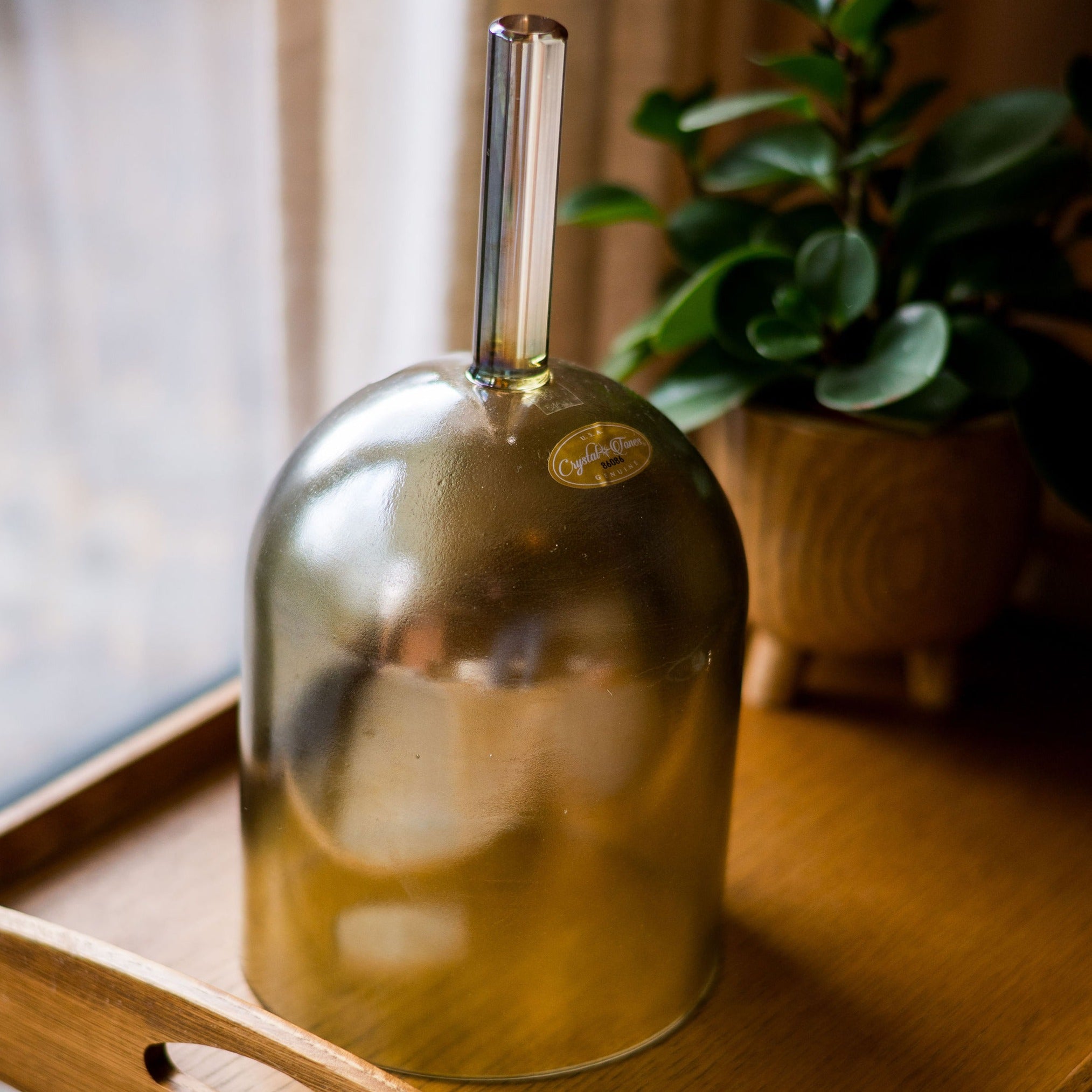 Green crystal sound practitioner bowl with a plant in the background on a wooden surface